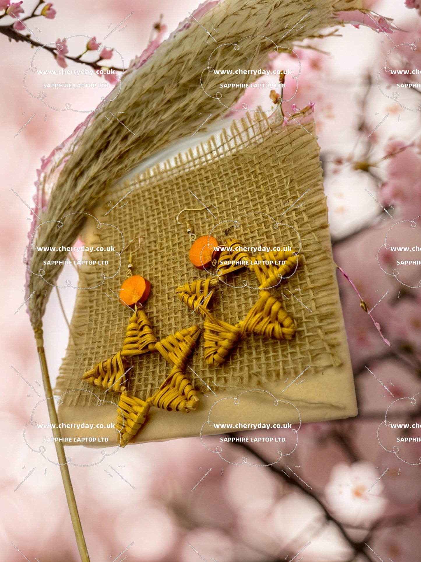 Pentagram rattan boho earrings
