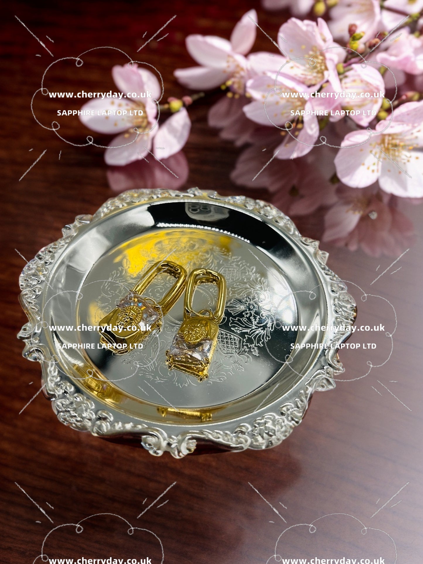 Crystal lock earrings