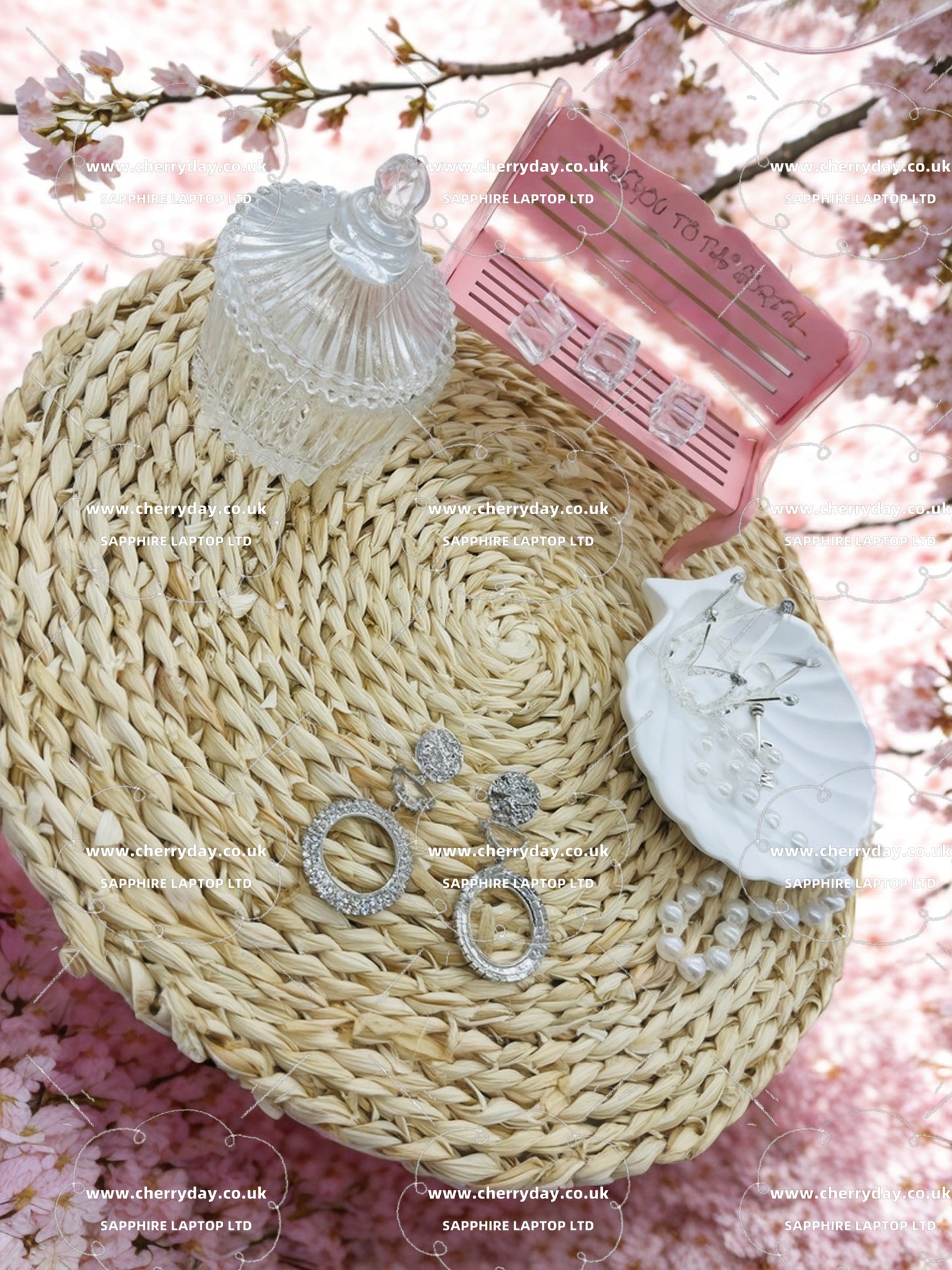 Silver moon halo earrings