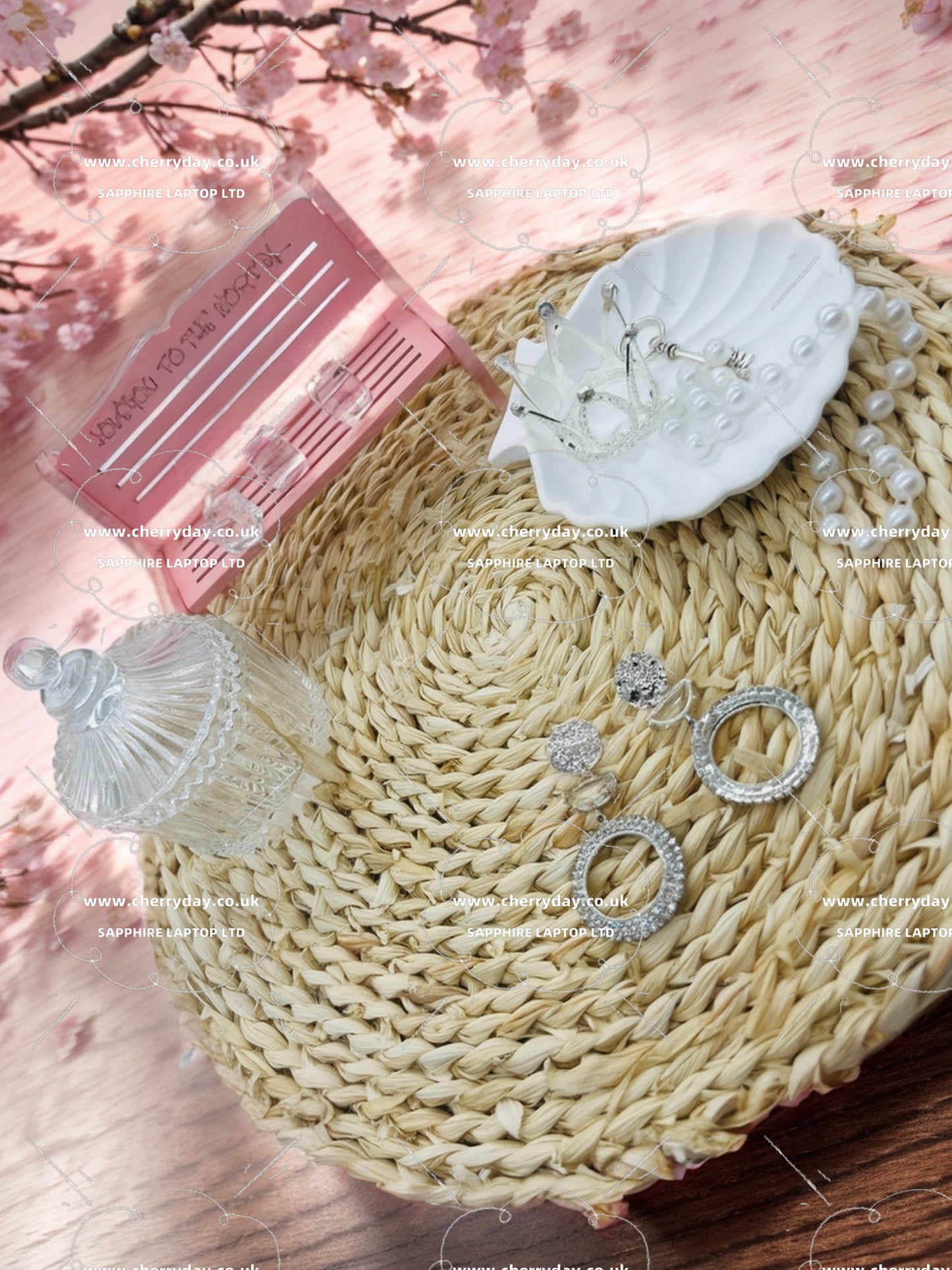 Silver moon halo earrings