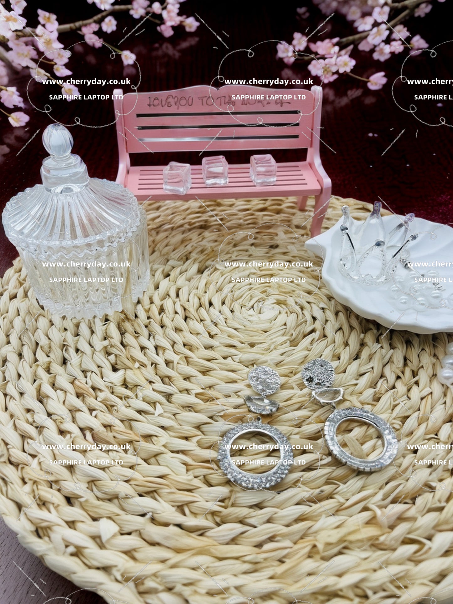 Silver moon halo earrings