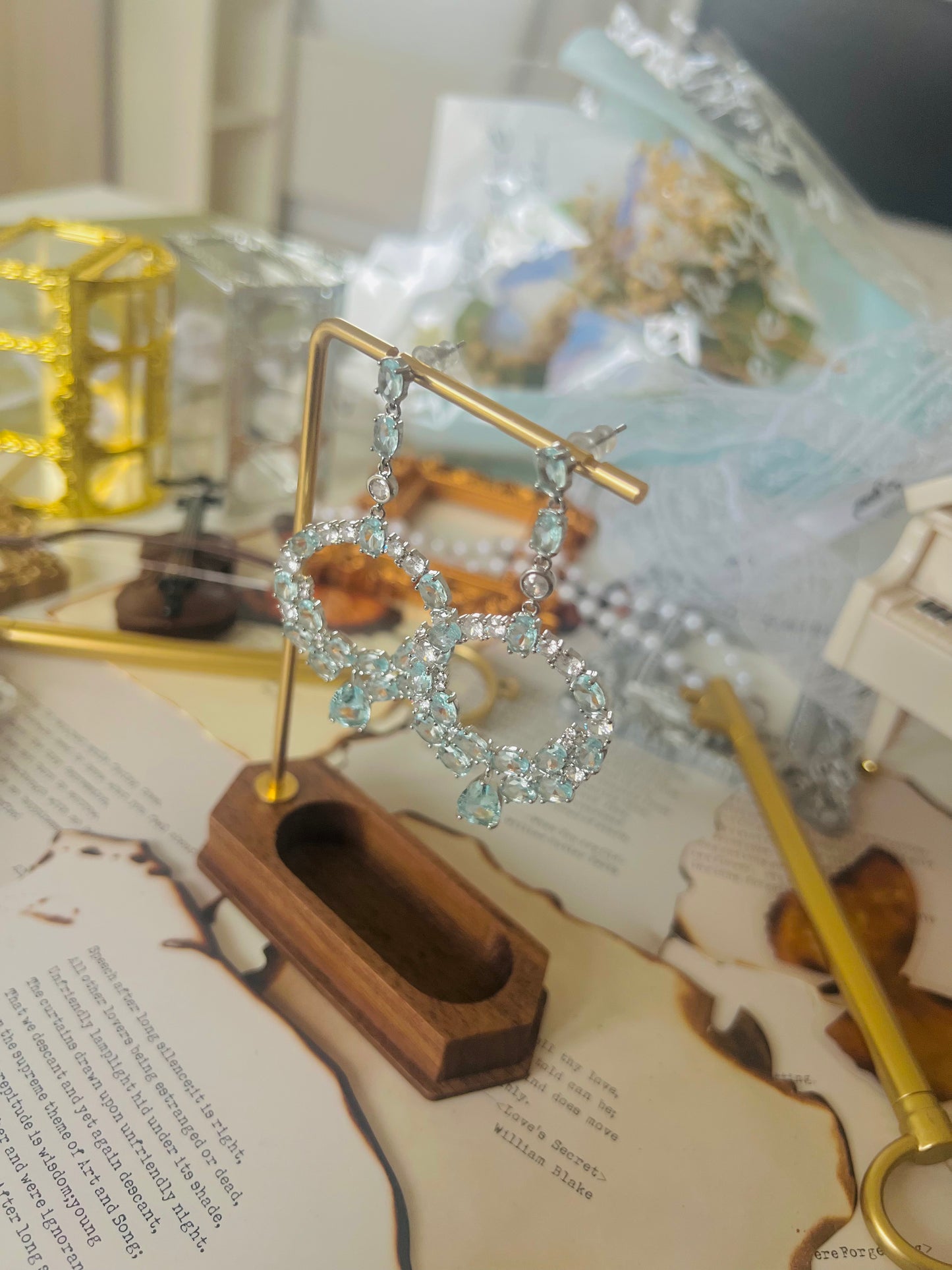 Earrings 004