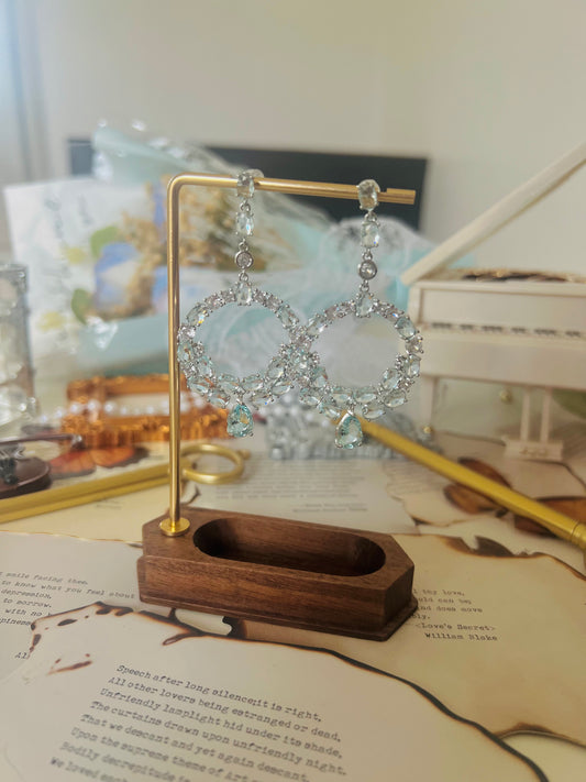 Earrings 004